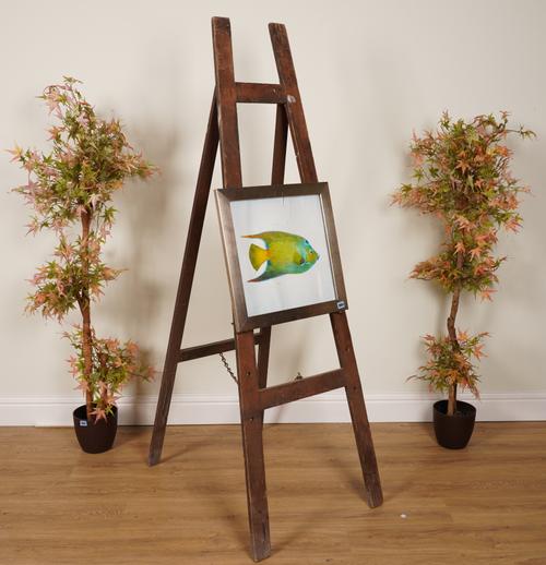 A PAIR OF PRINTS OF TROPICAL FISH (4)