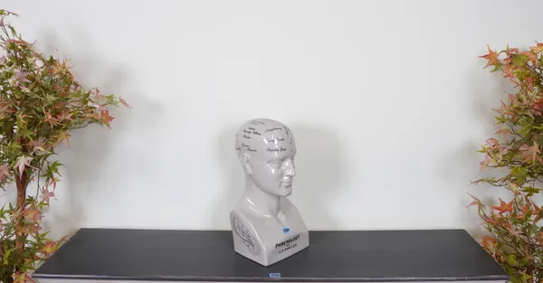 A LARGE CERAMIC MODEL OF A PHRENOLOGY HEAD