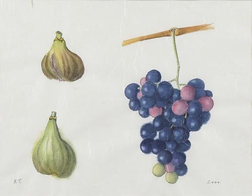 EMMA TENNANT (BRITISH, B. 1943)