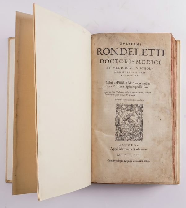 RONDELET, Guillaume (1507-66). Libri de piscibus marinis, Lyon, 1554, [?]volume one only (of 2), folio, woodcut illustrations, initials and ornaments, modern old-style vellum gilt. FIRST EDITION. Sold not subject to return.