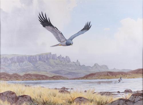 JOHN CYRIL HARRISON (BRITISH, 1898-1985)