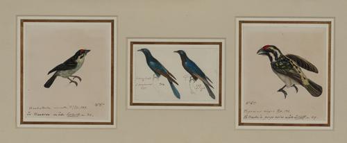 EUROPEAN SCHOOL, 19TH CENTURY (2)