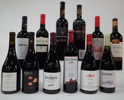12 BOTTLES SPANISH RED WINE