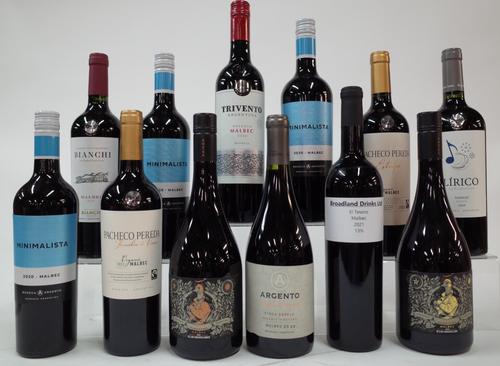 11 BOTTLES ARGENTINIAN MALBEC AND 1 TANNAT