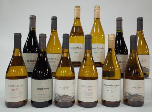 9 BOTTLES ARGENTINIAN WHITE AND 3 RED WINE