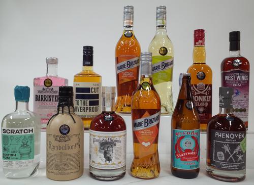 12 BOTTLES OF SPIRITS