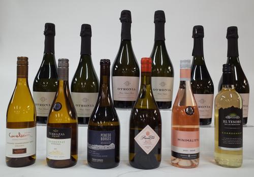 12 BOTTLES ARGENTINIAN WHITE, ROSÉ AND SPARKLING WINE