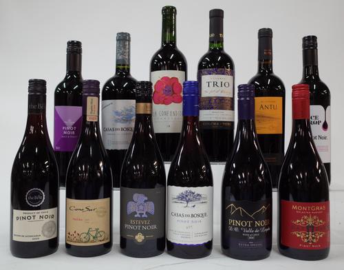 12 BOTTLES CHILEAN RED WINE