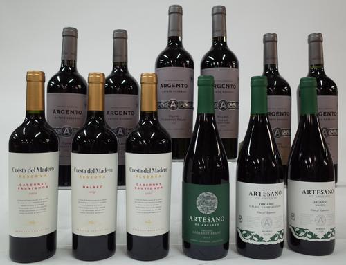 12 BOTTLES ARGENTINIAN RED WINE