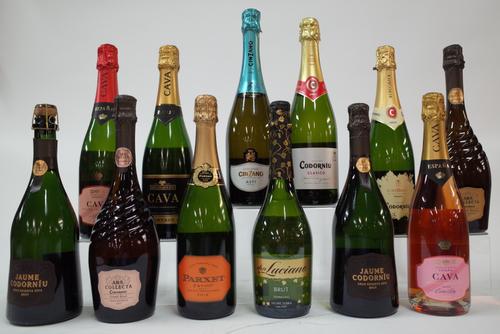 11 BOTTLES SPANISH AND 1 ITALIAN SPARKLING WINE
