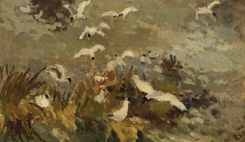 *** MACNAMARA (20TH CENTURY)