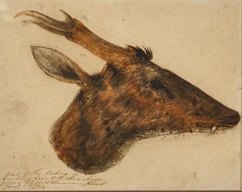 ENGLISH SCHOOL, 19TH CENTURY