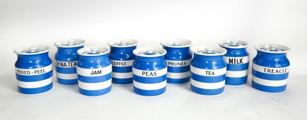 T.G. GREEN: NINE MEDIUM CORNISHWARE HOUSEHOLD JARS INCLUDING CHINA TEA AND MIXED-PEEL (9)