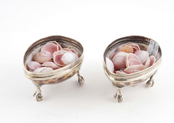 A PAIR OF CONTINENTAL SILVER MOUNTED COWRIE SHELL SALTS (2)