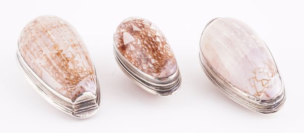 A GROUP OF THREE SILVER MOUNTED OLIVA PORPHYRIA SHELL SNUFF BOXES (3)