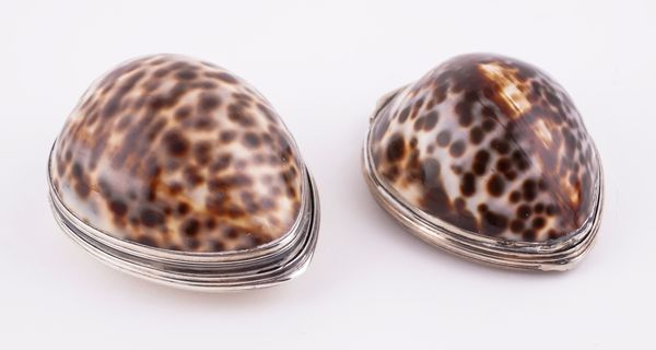 A GEORGE III MOTHER-OF-PEARL AND SILVER MOUNTED COWRIE SHELL SNUFF BOX AND ANOTHER (2)