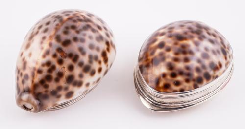 A GEORGE III SILVER MOUNTED COWRIE SHELL SNUFF BOX AND ANOTHER (2)