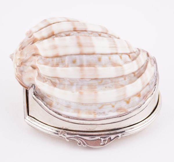 A CONTINENTAL SILVER MOUNTED FLUTED SHELL SNUFF BOX