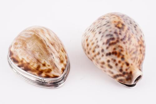 A GEORGE III SILVER MOUNTED COWRIE SHELL SNUFF BOX AND ANOTHER (2)