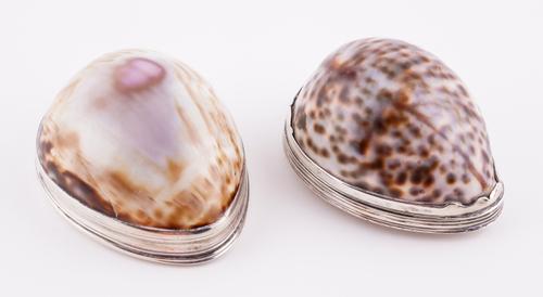 TWO SILVER MOUNTED COWRIE SHELL SNUFF BOXES (2)