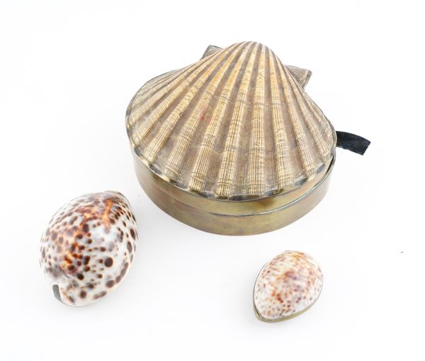 TWO BRASS MOUNTED COWRIE SHELL SNUFF BOXES AND AN ENGLISH BRASS MOUNTED SCALLOP SHELL BOX (3)