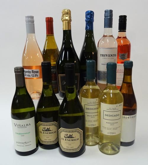 12 BOTTLES ARGENTINIAN WHITE, ROSÉ AND SPARKLING