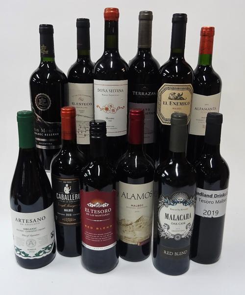 12 BOTTLES ARGENTINIAN RED WINE