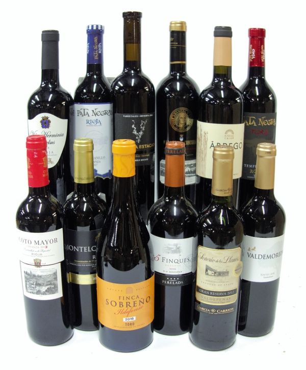 12 BOTTLES SPANISH RED WINE