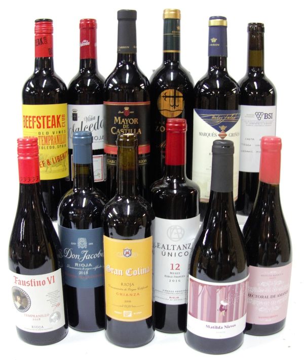 12 BOTTLES SPANISH RED WINE