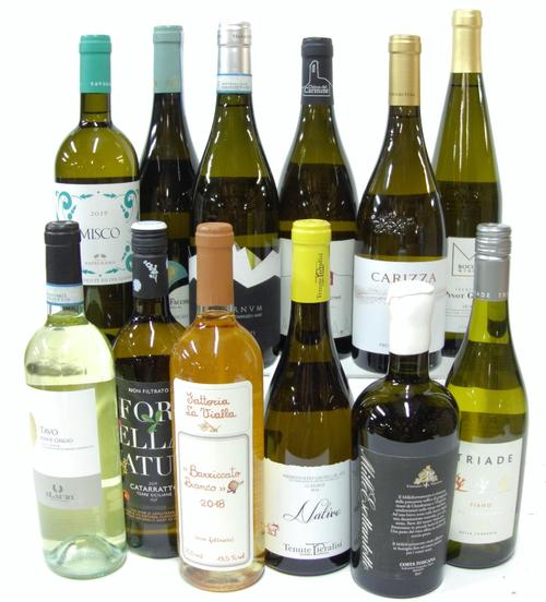 12 BOTTLES ITALIAN WHITE WINE