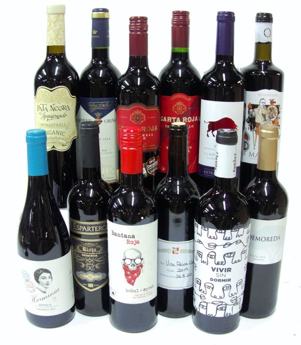 12 BOTTLES SPANISH RED WINE