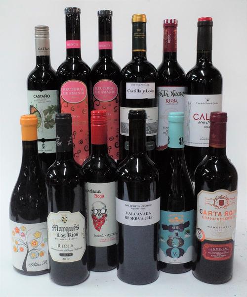 12 BOTTLES SPANISH RED WINE