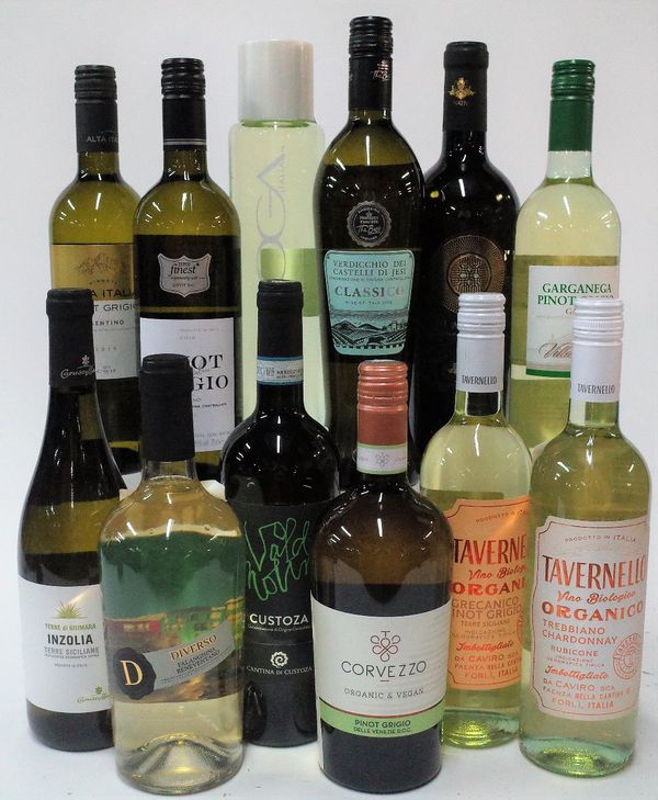 12 BOTTLES ITALIAN WHITE WINE