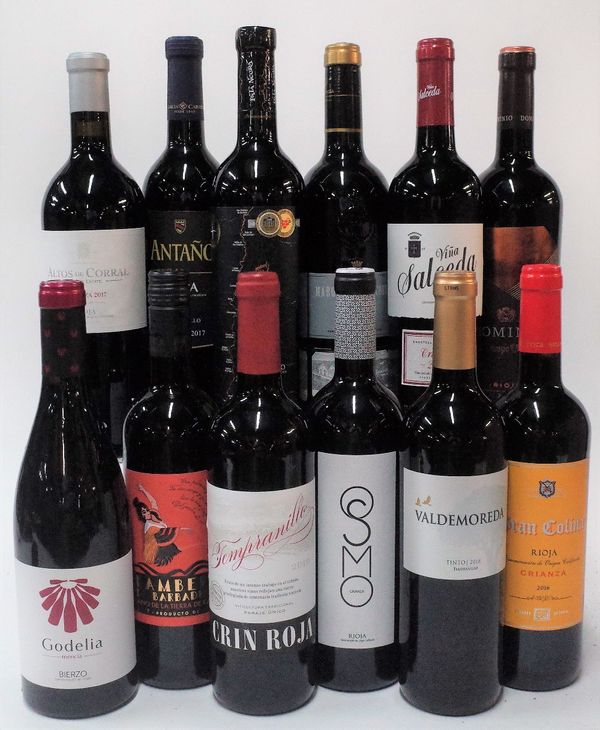 12 BOTTLES SPANISH RED WINE