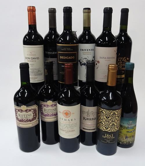 12 BOTTLES ARGENTINIAN RED WINE