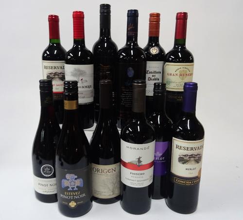 12 BOTTLES CHILEAN RED WINE