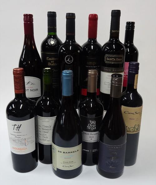 12 BOTTLES CHILEAN RED WINE