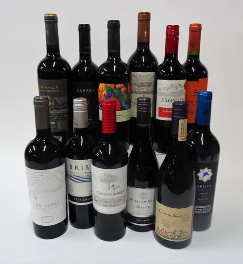 12 BOTTLES CHILEAN RED WINE