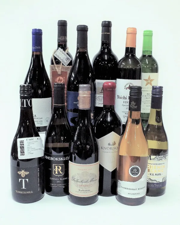 12 BOTTLES MIXED CASE WINES FROM CHINA, SOUTH AFRICA ETC.