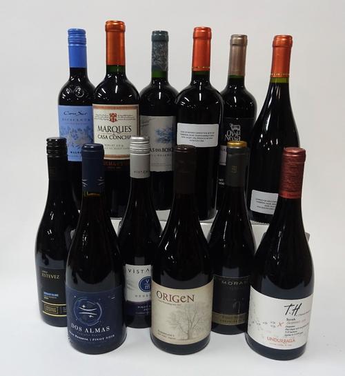 12 BOTTLES CHILEAN RED WINE