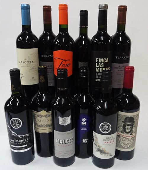 12 BOTTLES ARGENTINIAN RED WINE