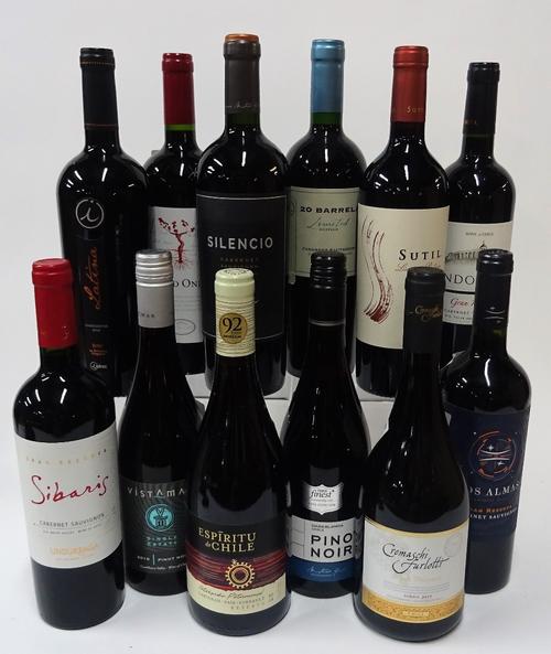 12 BOTTLES CHILEAN RED WINE