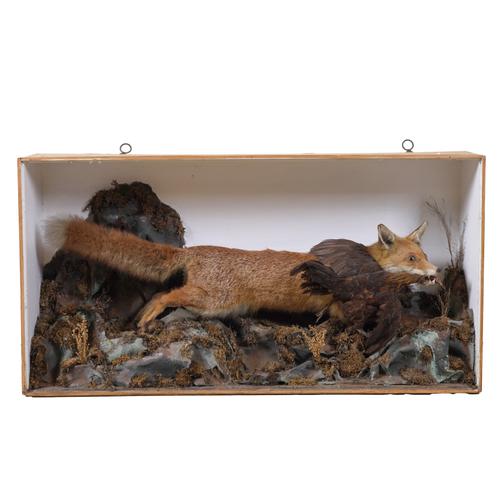 TAXIDERMY: A FOX AND HEN