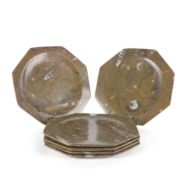 A GROUP SIX OCTAGONAL FOSSIL PLATES WITH ORTHOCERAS AND GONIATITE INCLUSIONS (6)