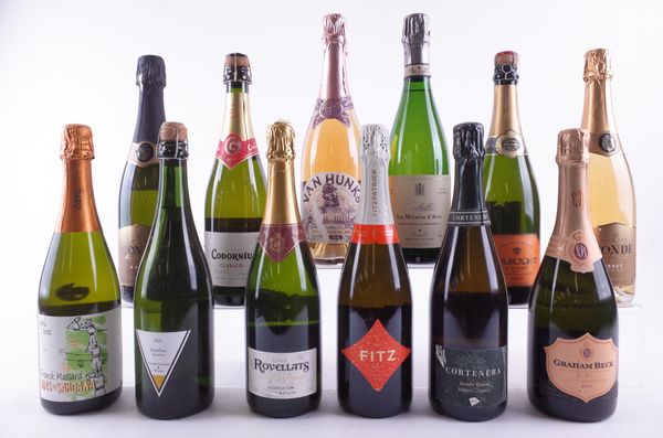 TWELVE BOTTLES VARIOUS SPARKLING WINE