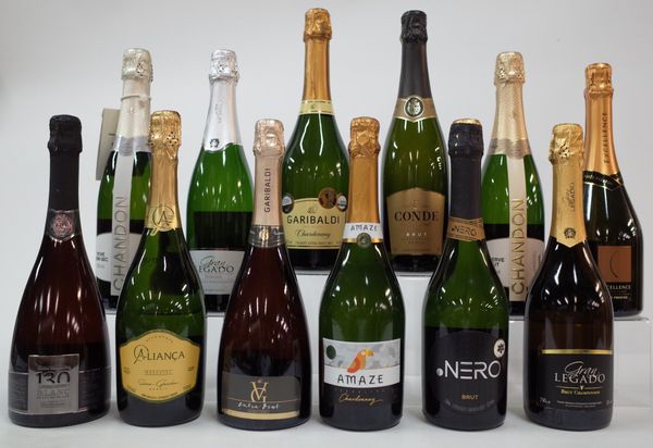 12 BOTTLES BRAZILIAN SPARKLING WINE