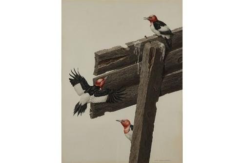 AXEL AMUCHASTEGUI (ARGENTINIAN, 1921-2002)