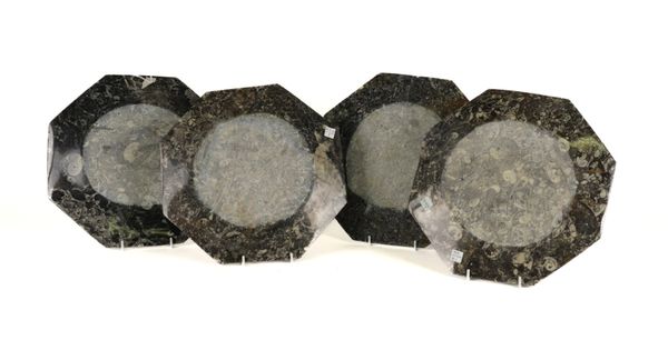 FOUR OCTAGONAL FOSSIL PLATES WITH ORTHOCERAS AND GONIATITE INCLUSIONS (4)