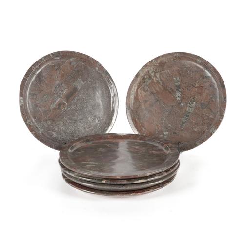 A GROUP OF SIX  FOSSIL PLATES WITH ORTHOCERAS AND GONIATITE INCLUSIONS (6)