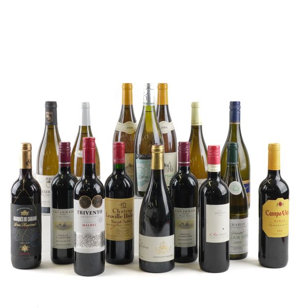 SIXTEEN BOTTLES OF RED AND WHITE WINE INCLUDING A BOTTLE OF POUILLY-FUISSE 2012 (16)